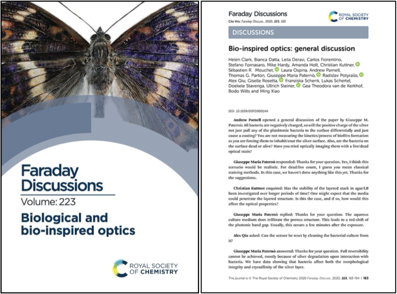 Bio-Inspired Optics: General Discussion