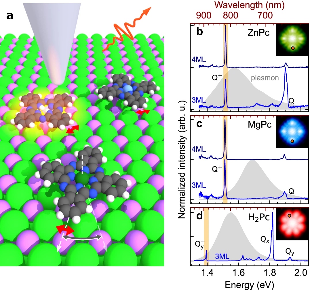 Evidence of exciton-libron coupling in chirally adsorbed single molecules