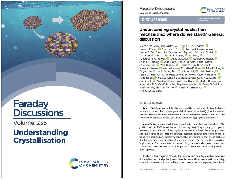 Understanding Crystal Nucleation Mechanisms: Where Do We Stand? General Discussion