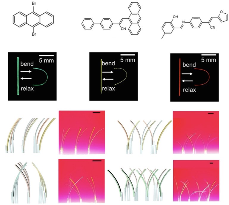 ﻿Collective photothermal bending of flexible organic crystals modified with MXene-polymer multilayers as optical waveguide arrays
