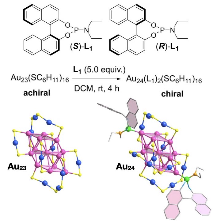 Asymmetric transformation of achiral gold nanoclusters with negative nonlinear dependence between chiroptical activity and enantiomeric excess