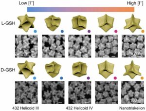 Halide-assisted differential growth of chiral nanoparticles with threefold rotational symmetry