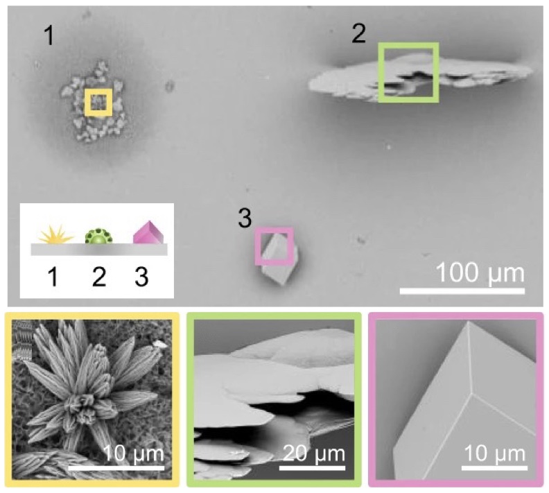 Light-driven nucleation, growth, and patterning of biorelevant crystals using resonant near-infrared laser heating