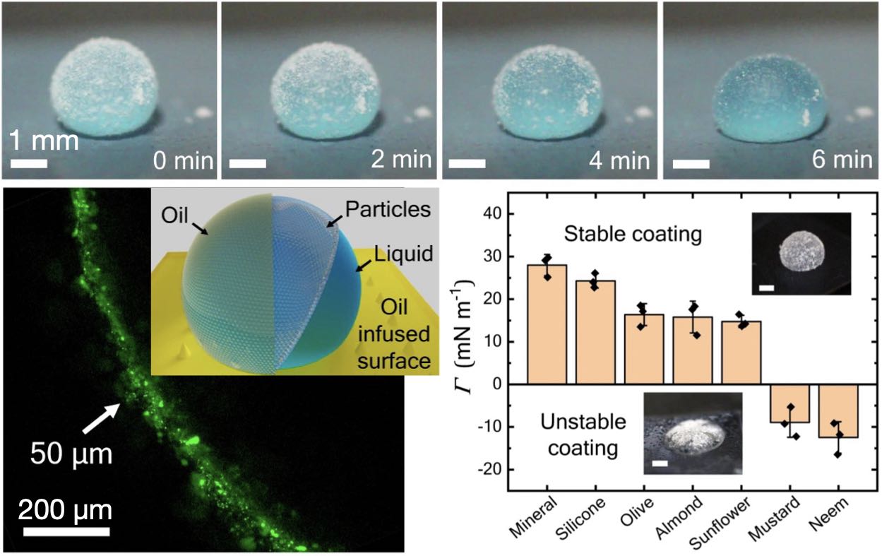 Tunable encapsulation of sessile droplets with solid and liquid shells