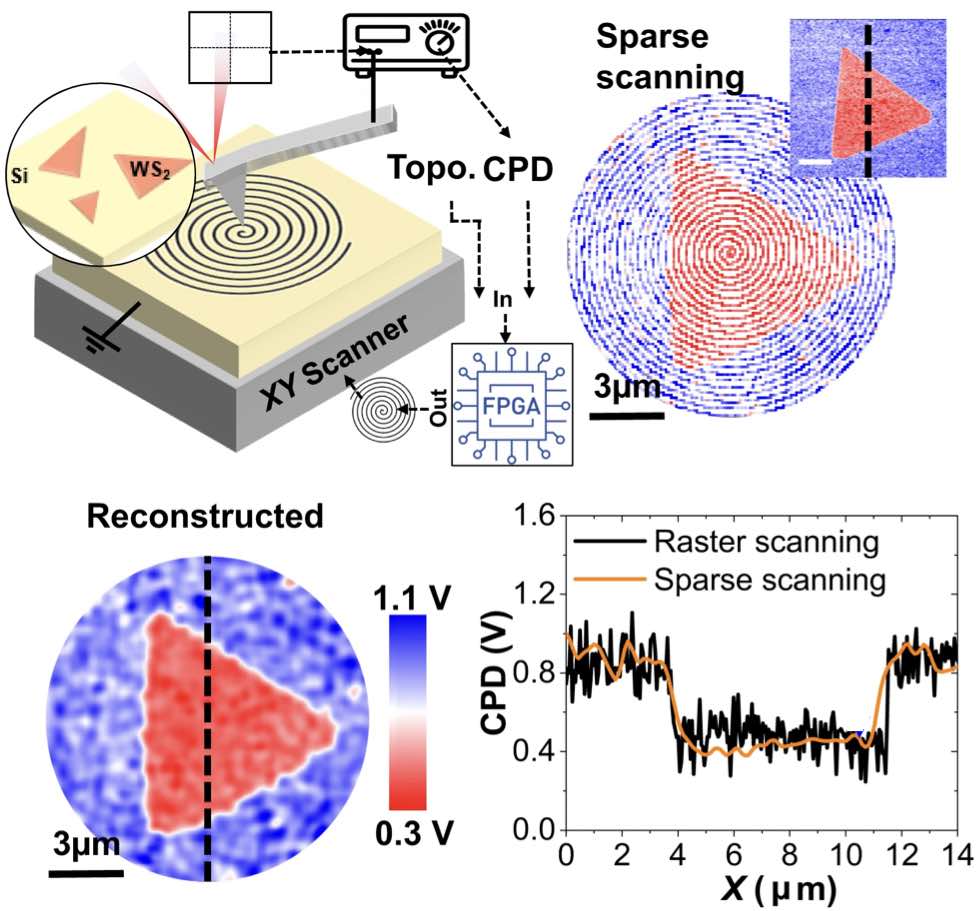 High-speed mapping of surface charge dynamics using sparse scanning Kelvin probe force microscopy