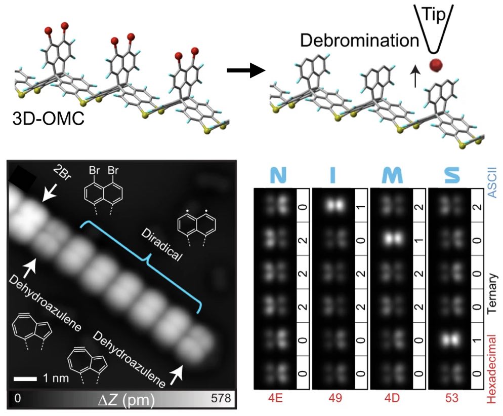 Local probe-induced structural isomerization in a one-dimensional molecular array