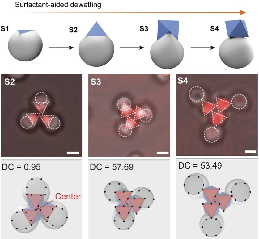 Janus particles with tunable patch symmetry and their assembly into chiral colloidal clusters