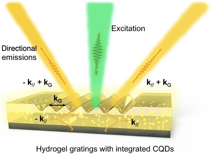 Switchable unidirectional emissions from hydrogel gratings with integrated carbon quantum dots