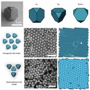 Direct observation of phase transitions in truncated tetrahedral microparticles under quasi-2D confinement