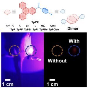 Visible-light-excited robust room-temperature phosphorescence of dimeric single-component luminophores in the amorphous state