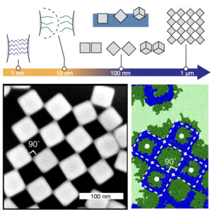Self-assembly of nanocrystal checkerboard patterns via non-specific interactions