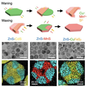 Waning-and-waxing shape changes in ionic nanoplates upon cation exchange