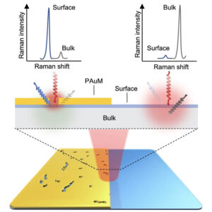 Bulk-suppressed and surface-sensitive Raman scattering by transferable plasmonic membranes with irregular slot-shaped nanopores