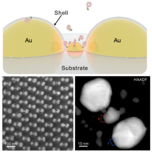 Plasmonic trimers designed as SERS-active chemical traps for subtyping of lung tumors