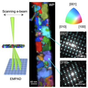 Diameter-dependent phase selectivity in 1D-confined tungsten phosphides