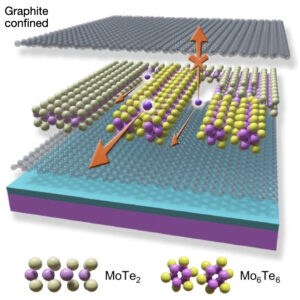 Constrained patterning of orientated metal chalcogenide nanowires and their growth mechanism