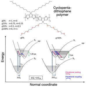 Slow vibrational relaxation drives ultrafast formation of photoexcited polaron pair states in glycolated conjugated polymers