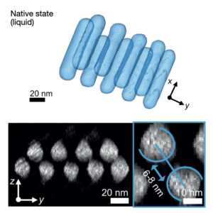 Quantitative 3D structural analysis of small colloidal assemblies under native conditions by liquid-cell fast electron tomography