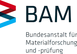 BAM Career Fireside Chat